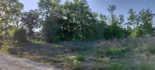 a view of a yard with plants and a bench