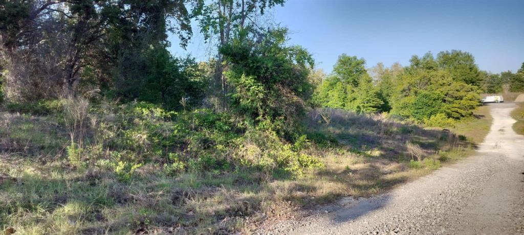 2808 Van Buren Street Inverness, FL 34453 - Photo 8 of 18 a view of a yard with plants and a bench