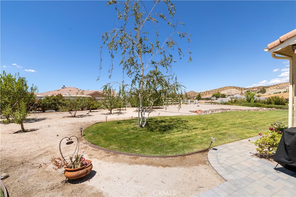 34016 Desert Road Acton, CA 93510 - Photo 12 of 52 Large landscaped yard