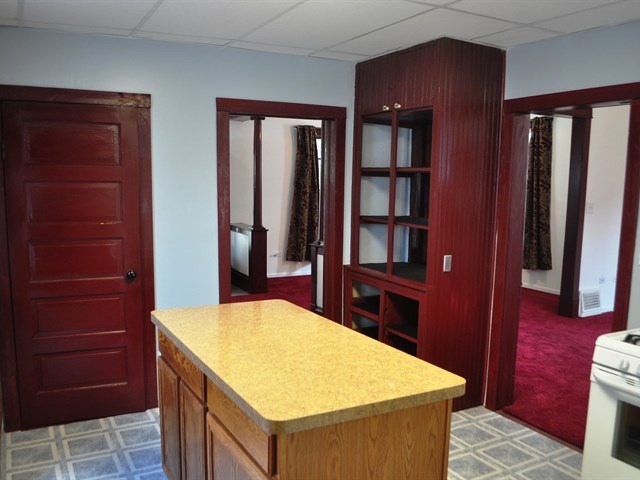 641 South Street Elgin, IL 60123 - Photo 7 of 16
