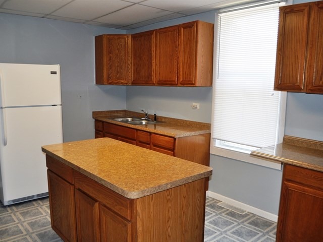 641 South Street Elgin, IL 60123 - Photo 8 of 16