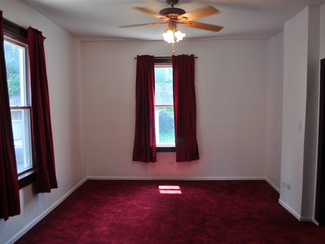 641 South Street Elgin, IL 60123 - Photo 9 of 16