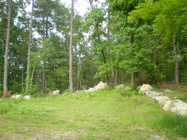 109 Maxwell Road Monson, MA 01057 - Photo 2 of 4 a backyard of a house with lots of green space