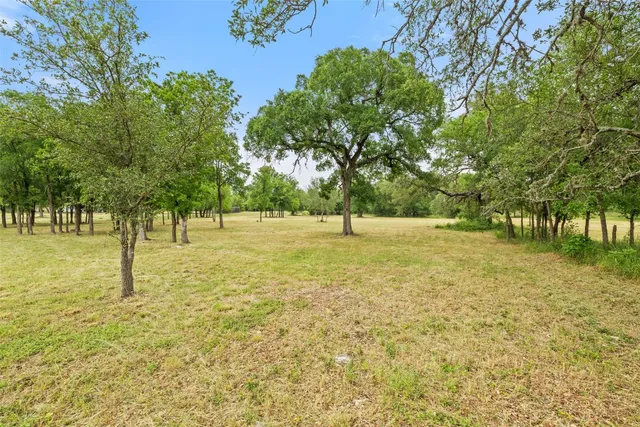 a view of a field with trees in the background