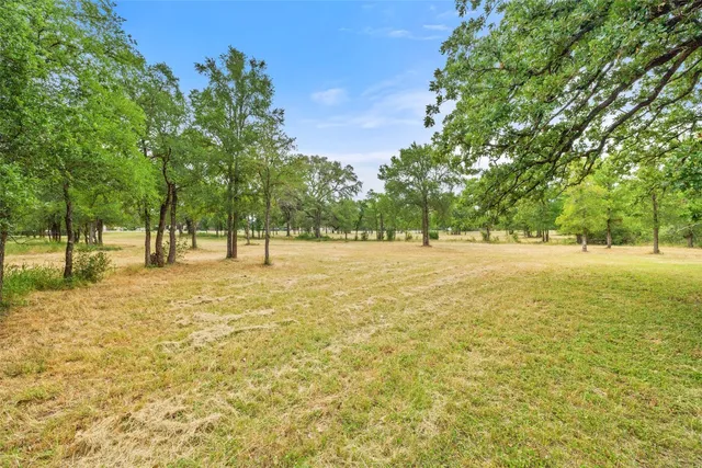 a view of a green yard with large trees
