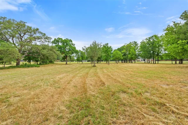 a view of three trees with an outdoor space