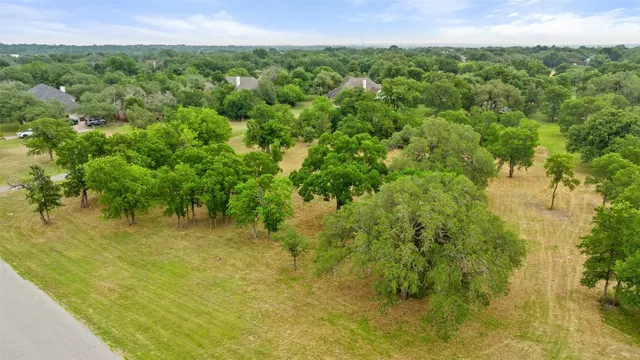 a view of a field with a tree