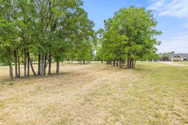 a view of a field with trees in the background
