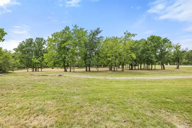 a view of outdoor space with yard and trees in the background