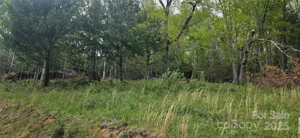 a view of a lush green space