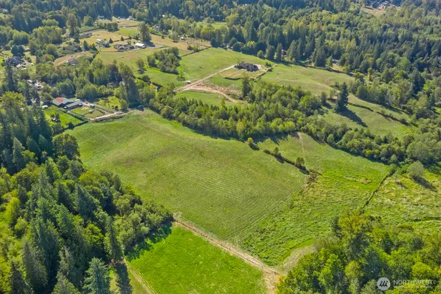 a view of a trees with a yard