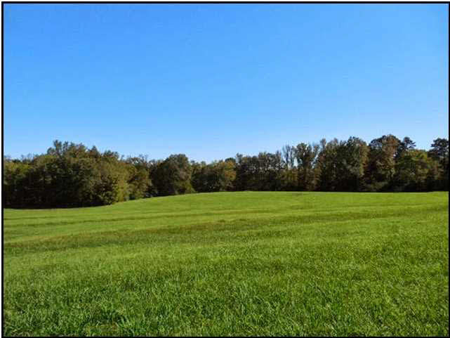 70 Shady Grove Road Goodman, MS 39079 - Photo 1 of 18 Photo 1