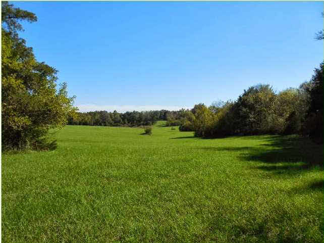 70 Shady Grove Road Goodman, MS 39079 - Photo 11 of 18 Photo 11