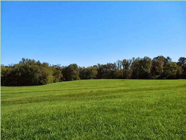 70 Shady Grove Road Goodman, MS 39079 - Photo 12 of 18 Photo 12