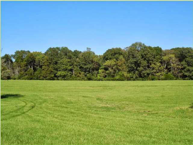 70 Shady Grove Road Goodman, MS 39079 - Photo 15 of 18 Photo 15