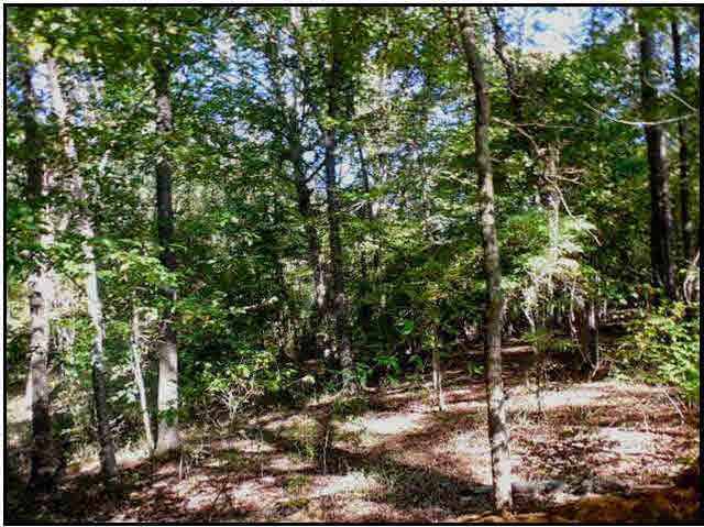 70 Shady Grove Road Goodman, MS 39079 - Photo 3 of 18 Photo 3