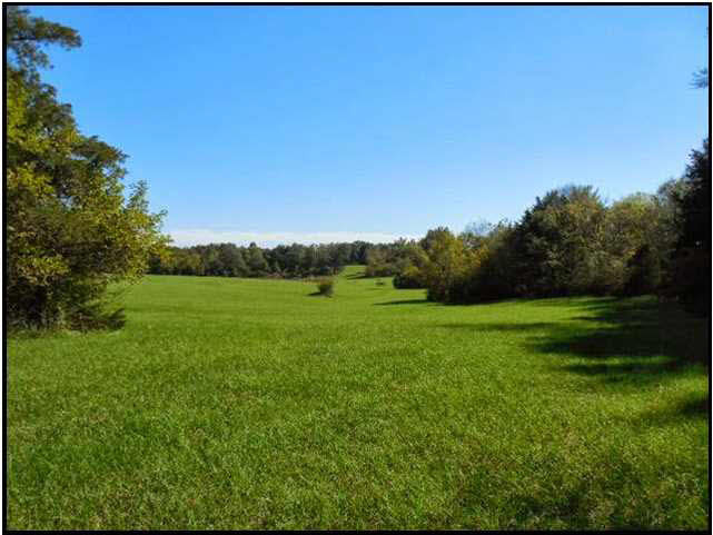 70 Shady Grove Road Goodman, MS 39079 - Photo 4 of 18 Photo 4