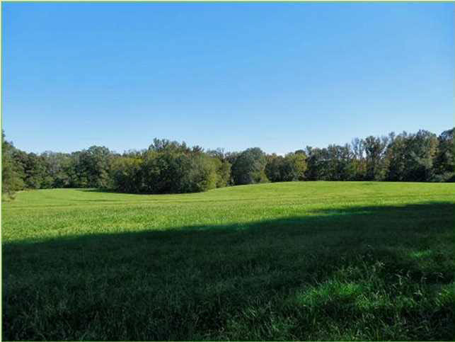 70 Shady Grove Road Goodman, MS 39079 - Photo 10 of 18 Photo 10