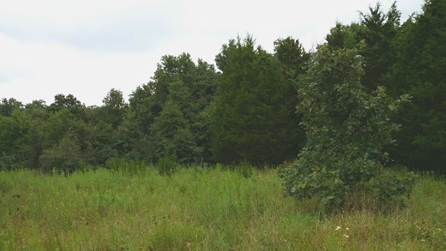 166 County Road Auxvasse, MO 65231 - Photo 25 of 27