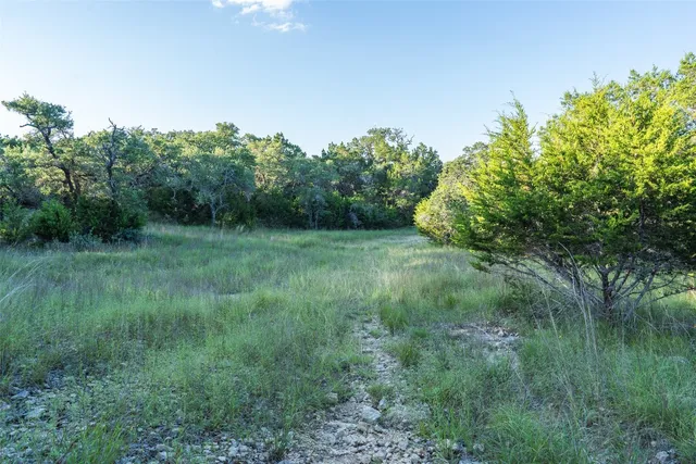 $450,000 | Undisclosed Address, Blanco, TX 78606