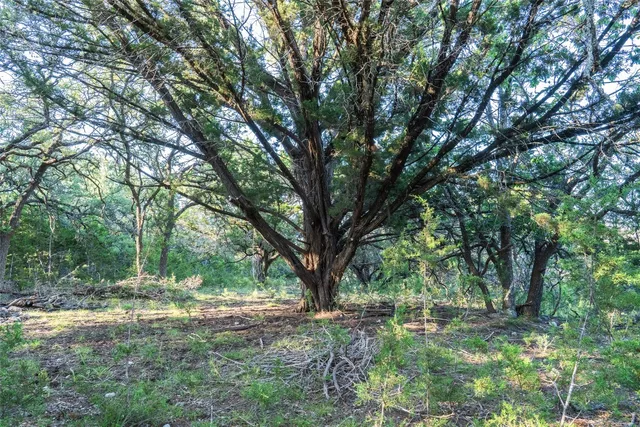 $450,000 | Undisclosed Address, Blanco, TX 78606