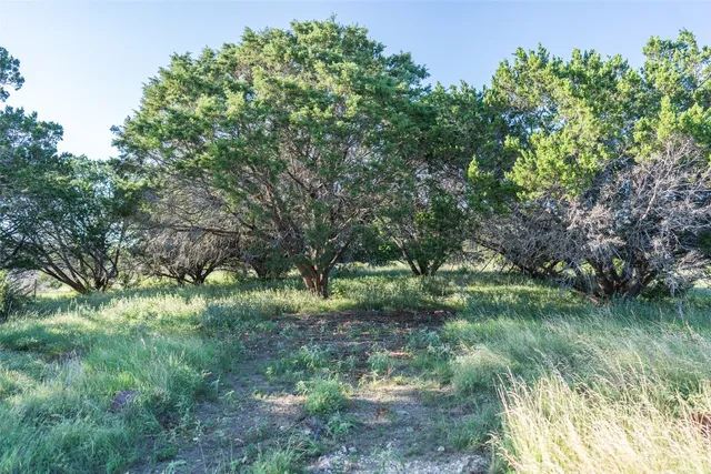 $450,000 | Undisclosed Address, Blanco, TX 78606