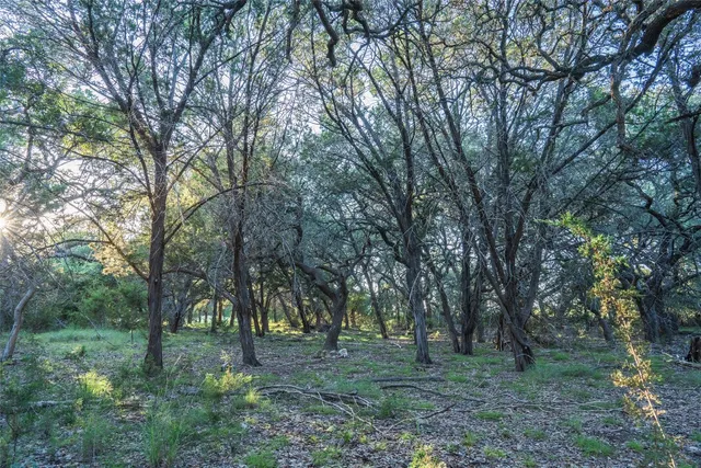 $450,000 | Undisclosed Address, Blanco, TX 78606