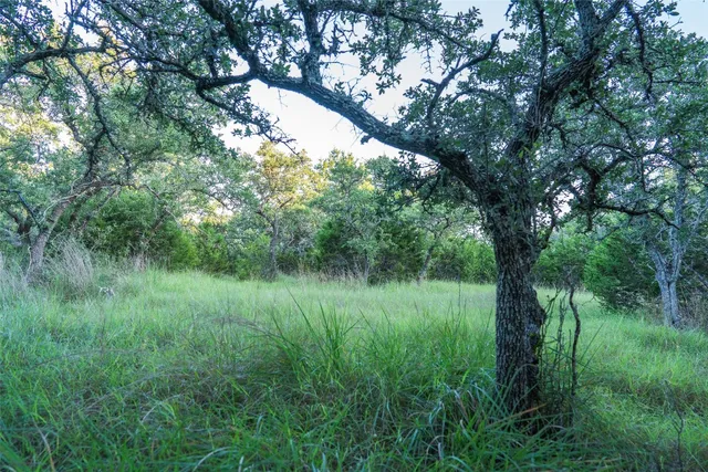 $450,000 | Undisclosed Address, Blanco, TX 78606