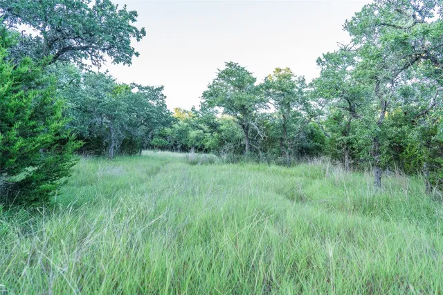 $450,000 | Undisclosed Address, Blanco, TX 78606