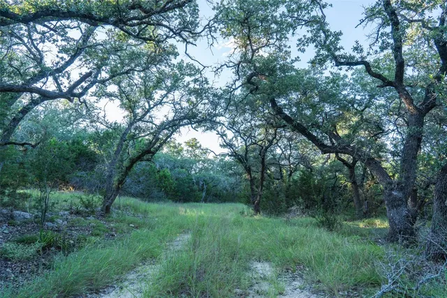 $450,000 | Undisclosed Address, Blanco, TX 78606