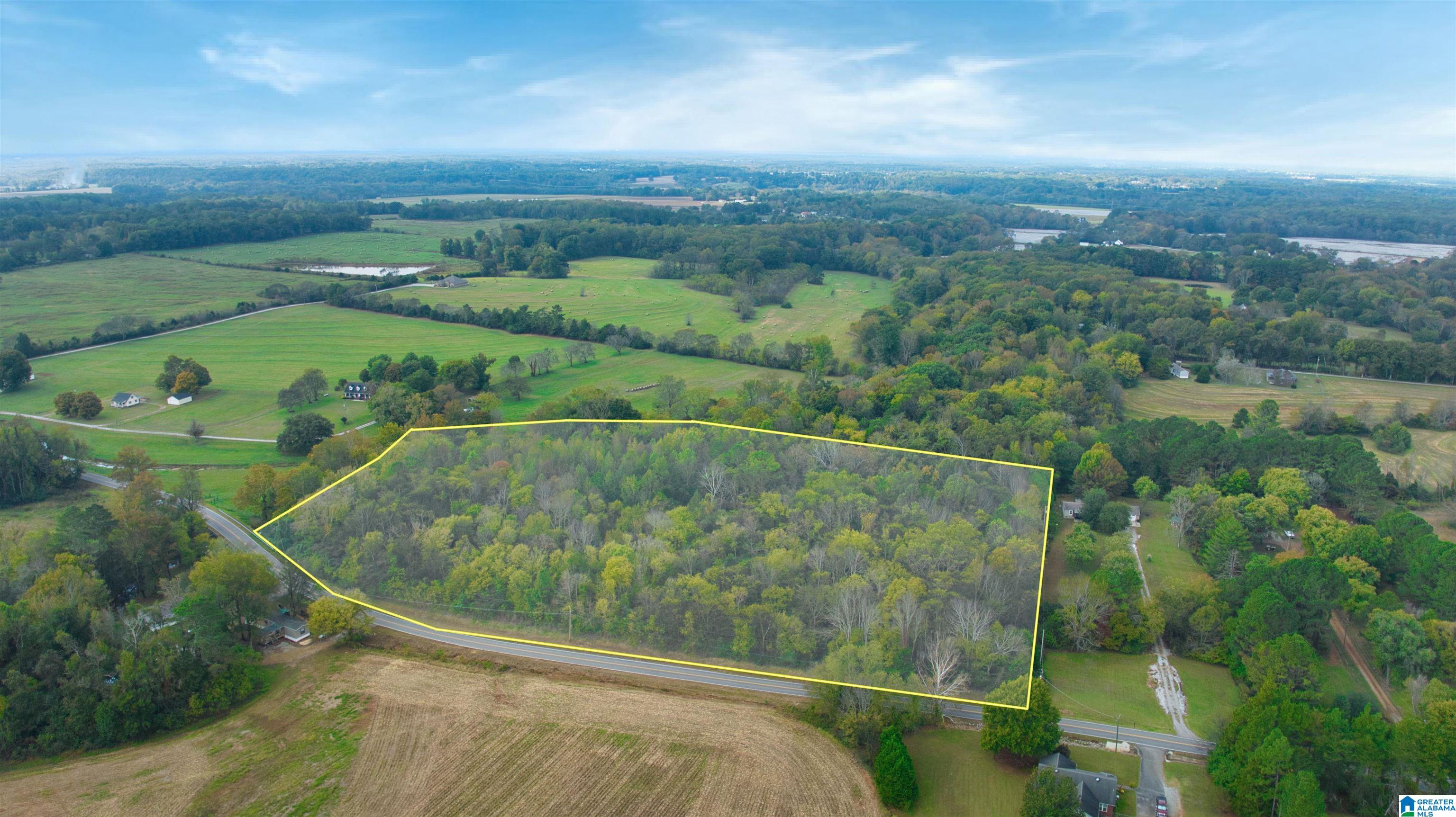 0 South Love Branch Road Toney, AL 35773 - Photo 2 of 26