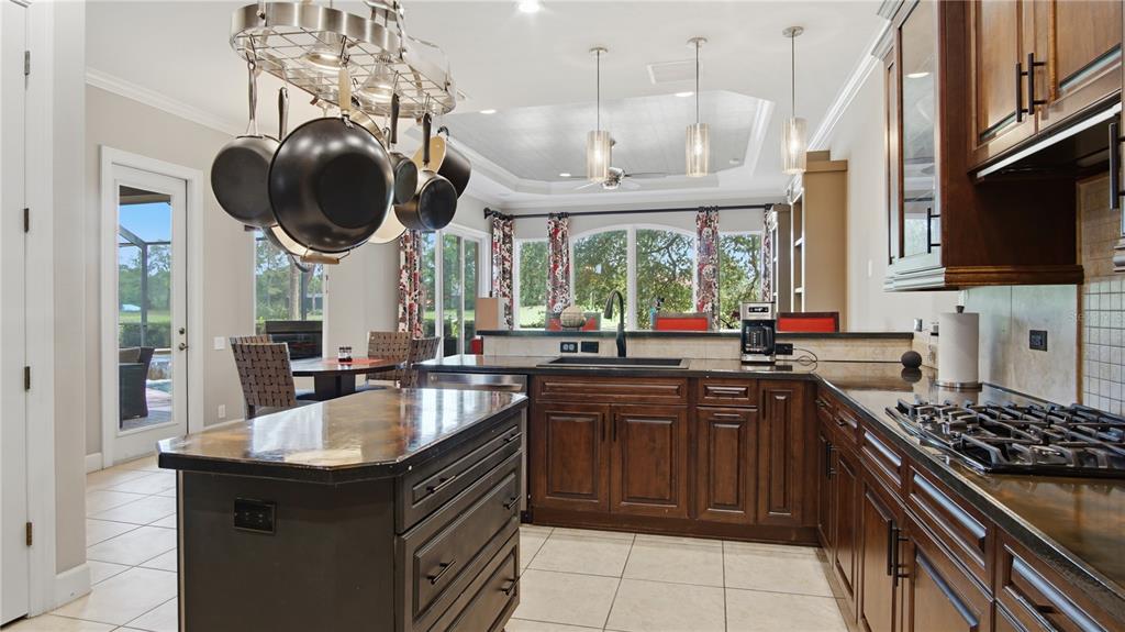 6609 Southwest 179th Ave Road Dunnellon, FL 34432 - Photo 3 of 62