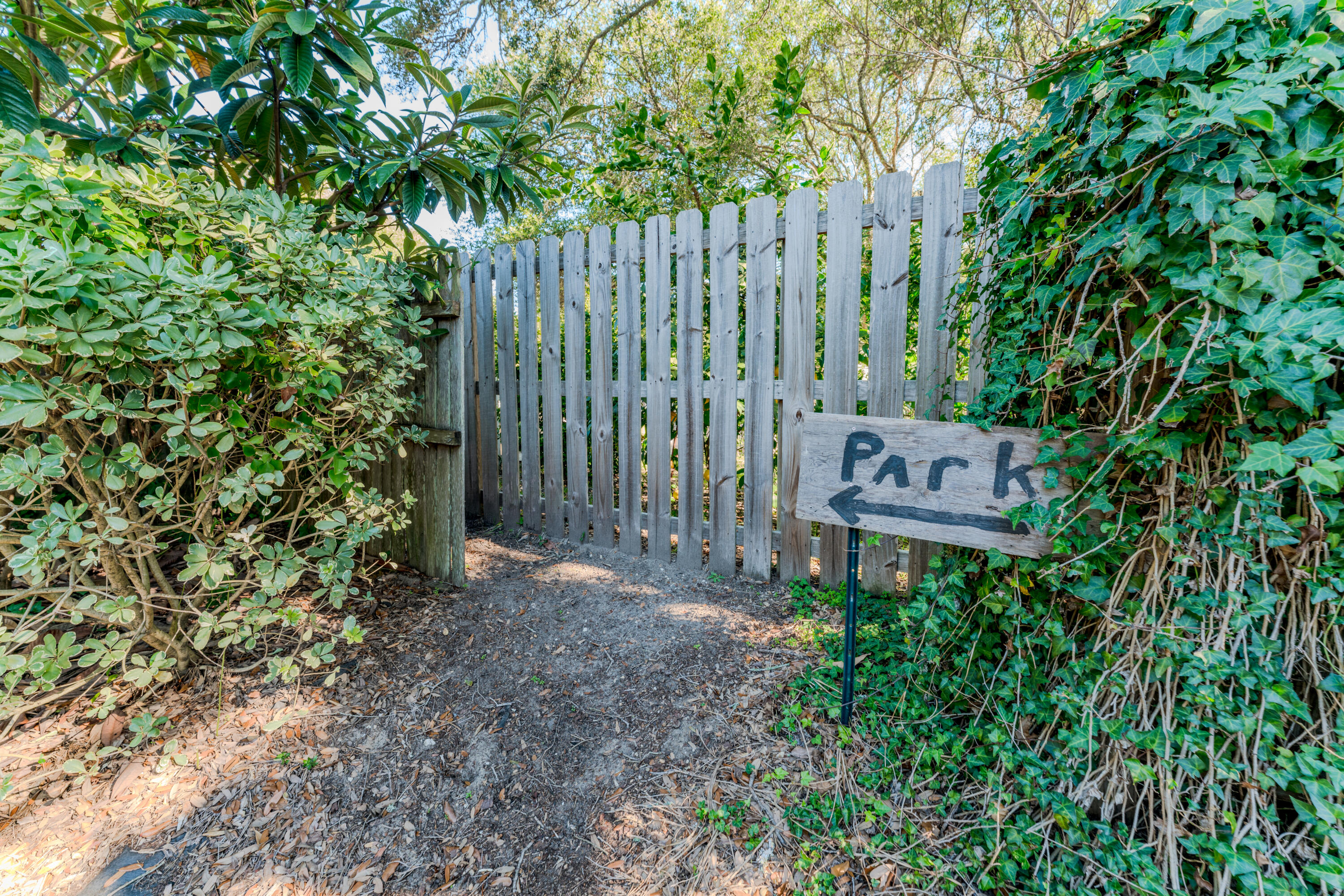504 West Ashley Avenue Folly Beach, SC 29439 - Photo 52 of 60 504 W Ashley-58