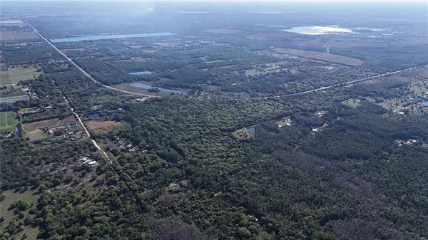 view of a city with lots of bushes
