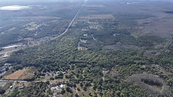 view of a field of grass and trees