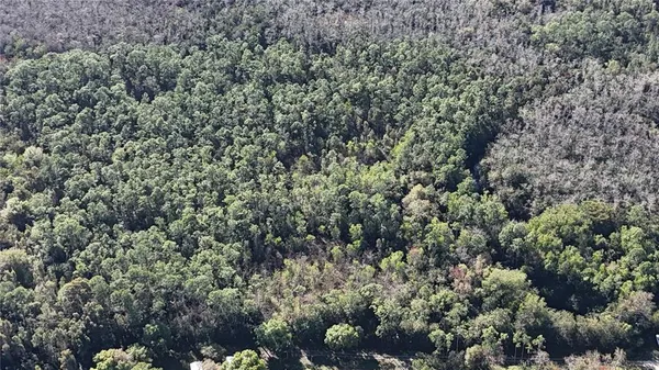 an aerial view of beach and yard