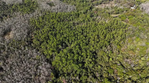 a view of a lush green field