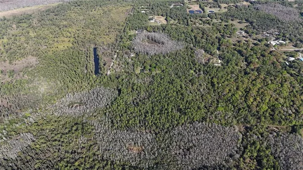a view of a dry yard