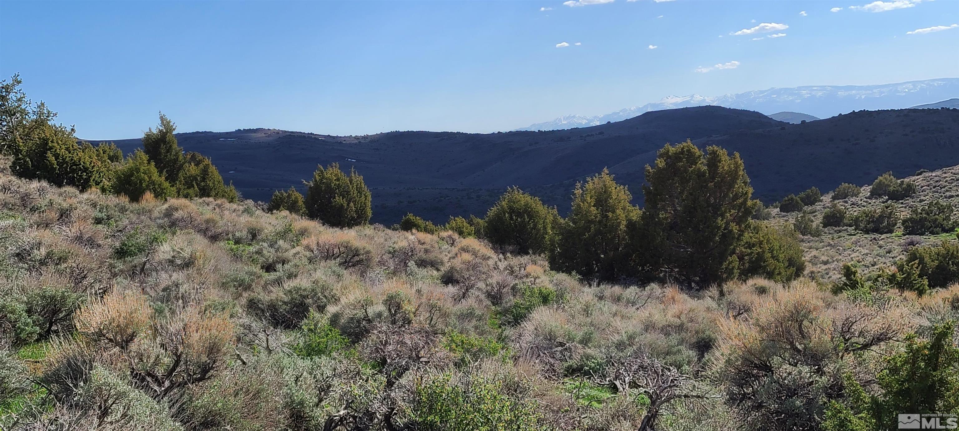 0 Left Hand Canyon Road Reno, NV 89510 - Photo 11 of 16 a view of a lush green hillside and a building