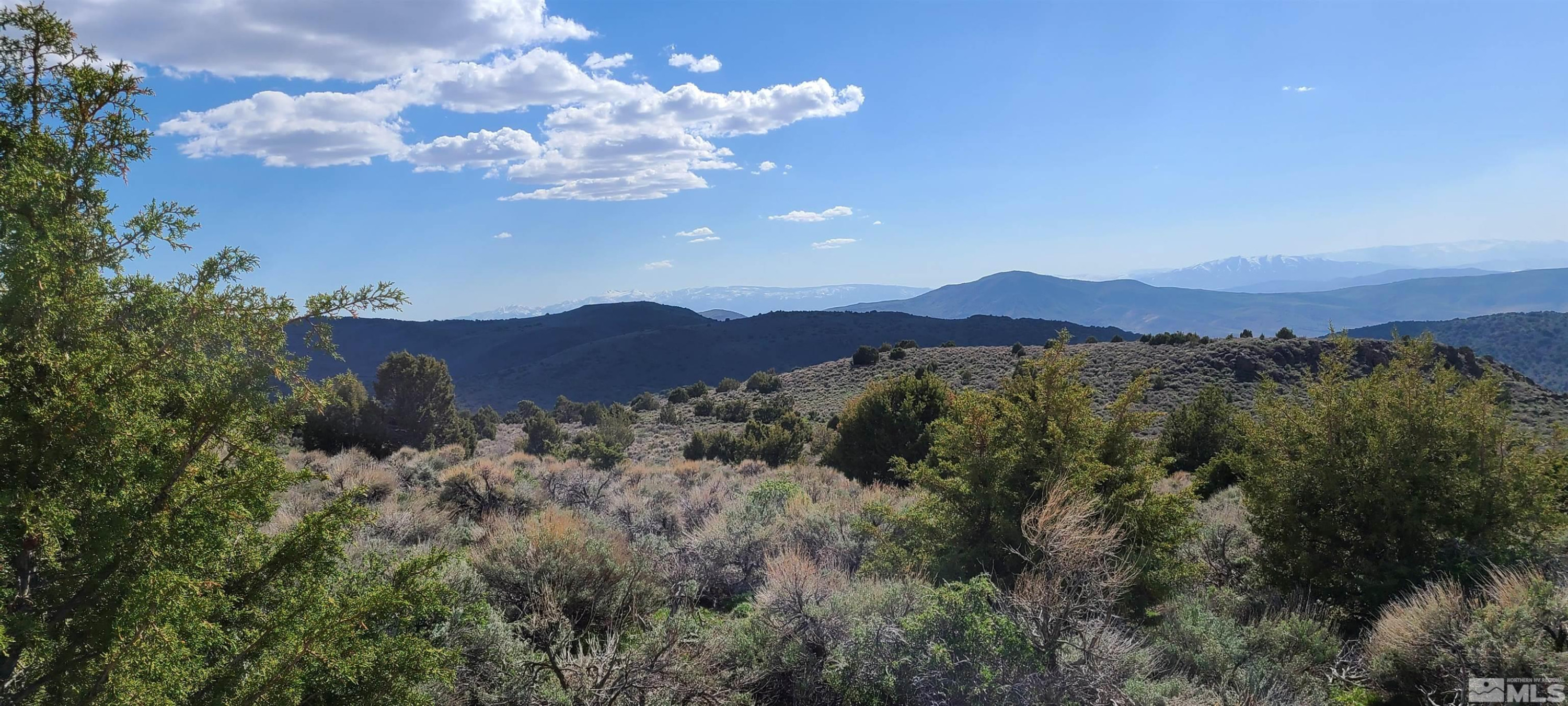 0 Left Hand Canyon Road Reno, NV 89510 - Photo 13 of 16 a view of a lush green mountain