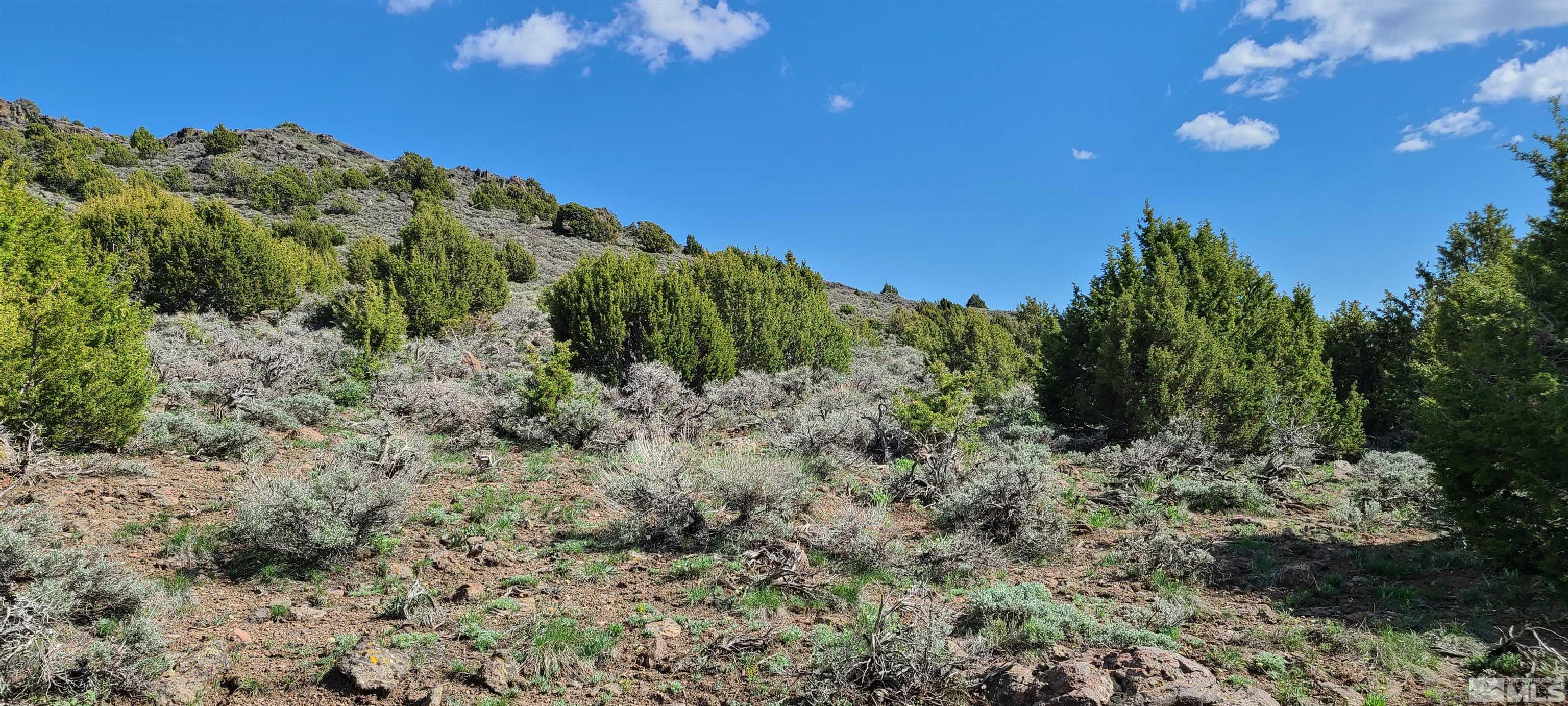 0 Left Hand Canyon Road Reno, NV 89510 - Photo 15 of 16 a view of a field