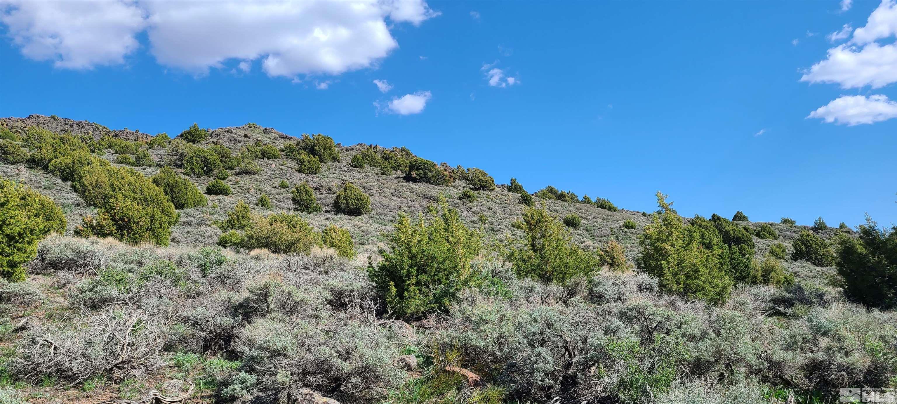 0 Left Hand Canyon Road Reno, NV 89510 - Photo 16 of 16 a view of a large building with a mountain in the background