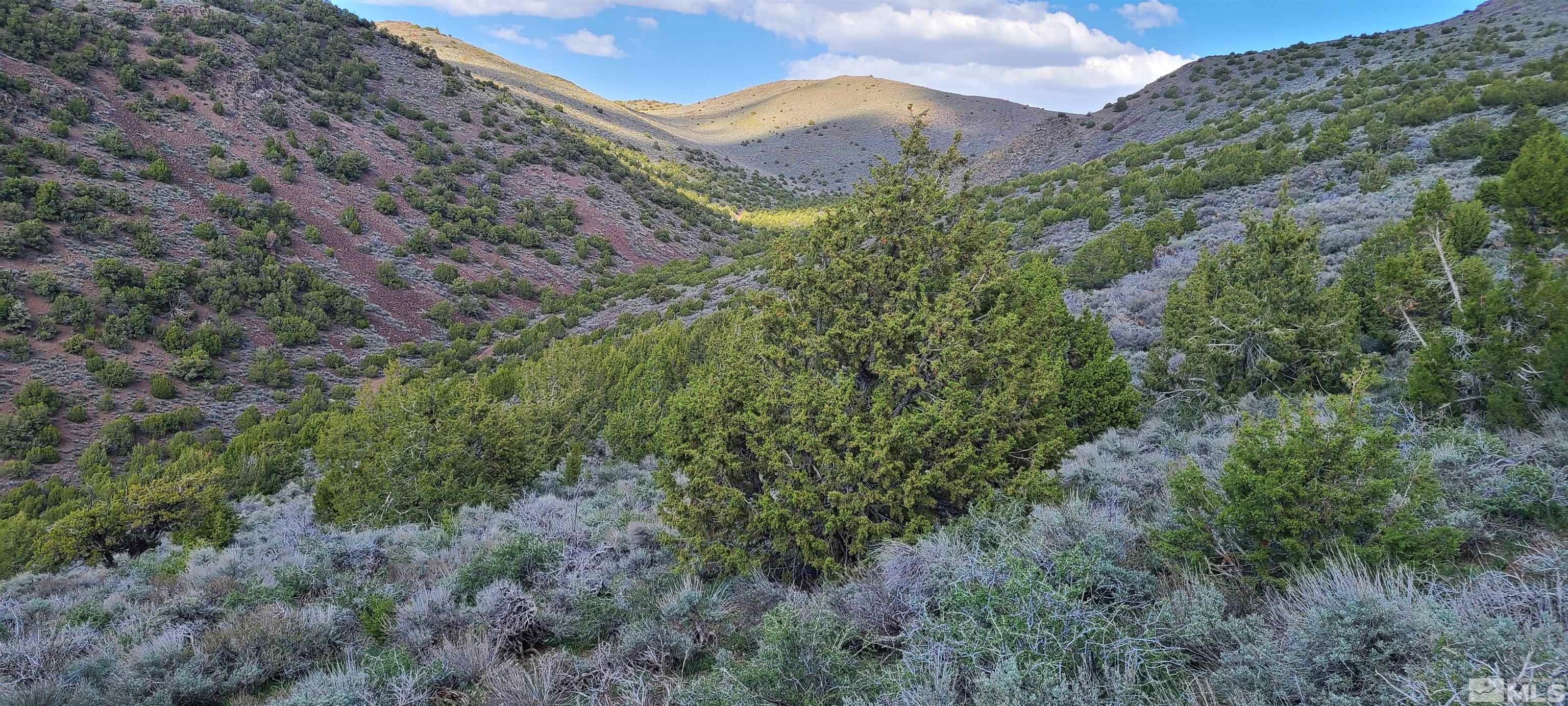 0 Left Hand Canyon Road Reno, NV 89510 - Photo 5 of 16 an aerial view of mountain with residential house and green space