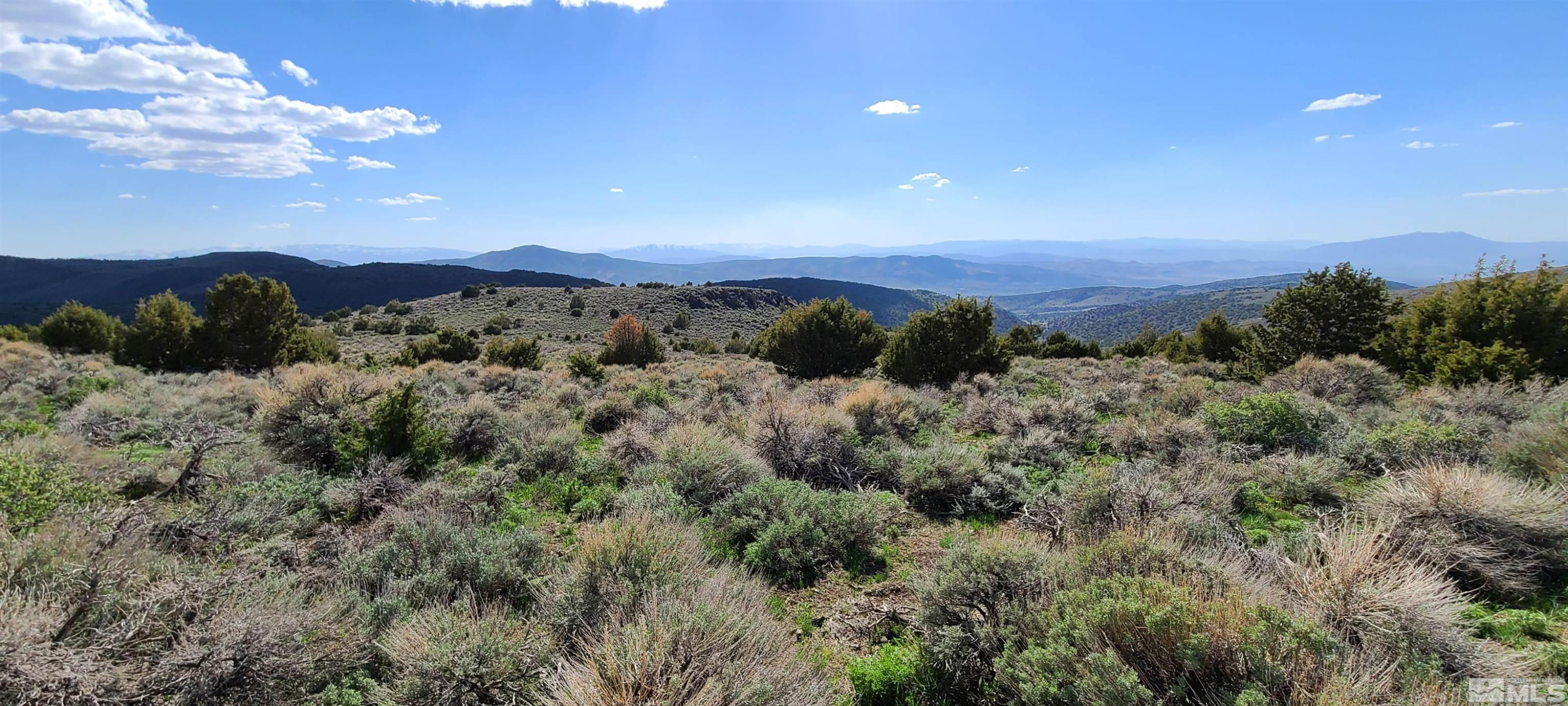 0 Left Hand Canyon Road Reno, NV 89510 - Photo 6 of 16 a view of a city