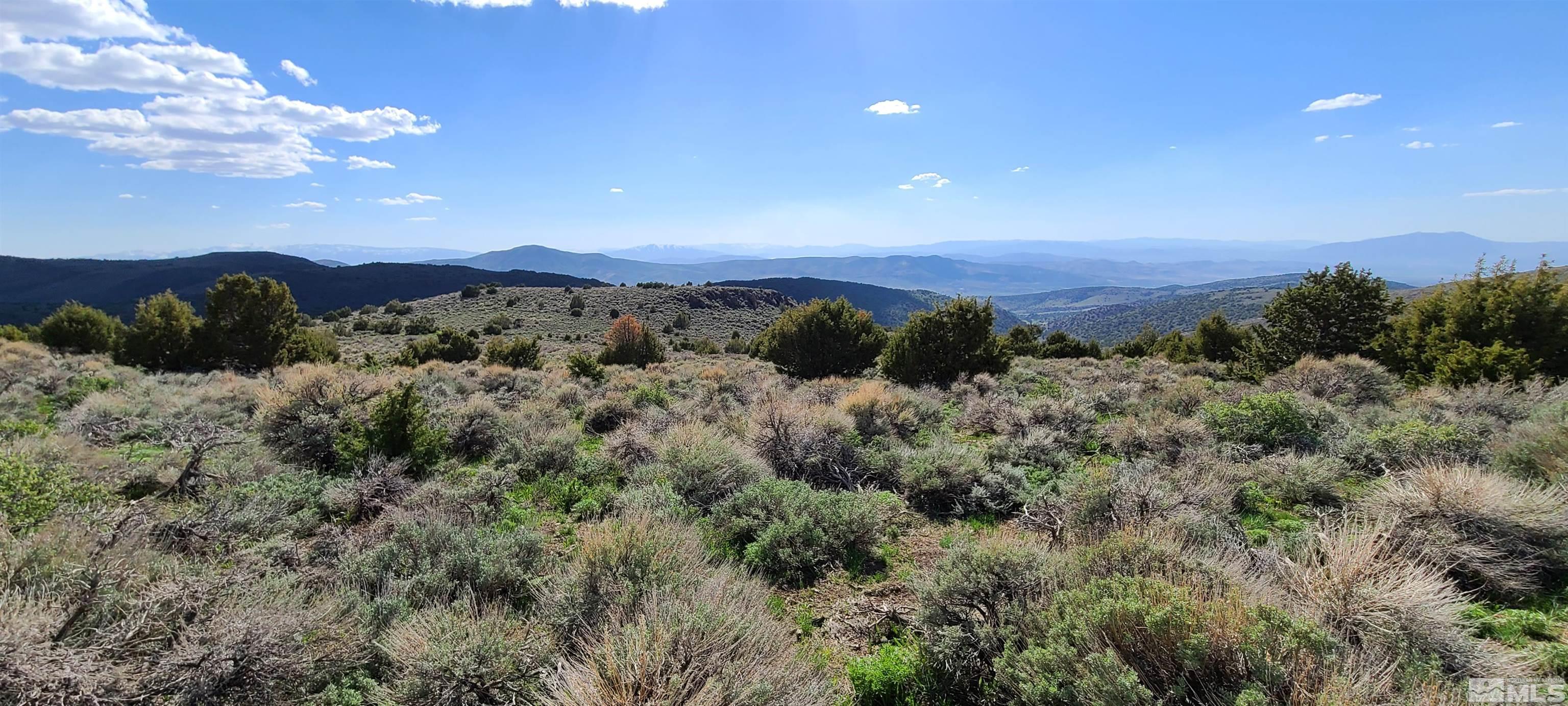 0 Left Hand Canyon Road Reno, NV 89510 - Photo 6 of 16 a view of a city