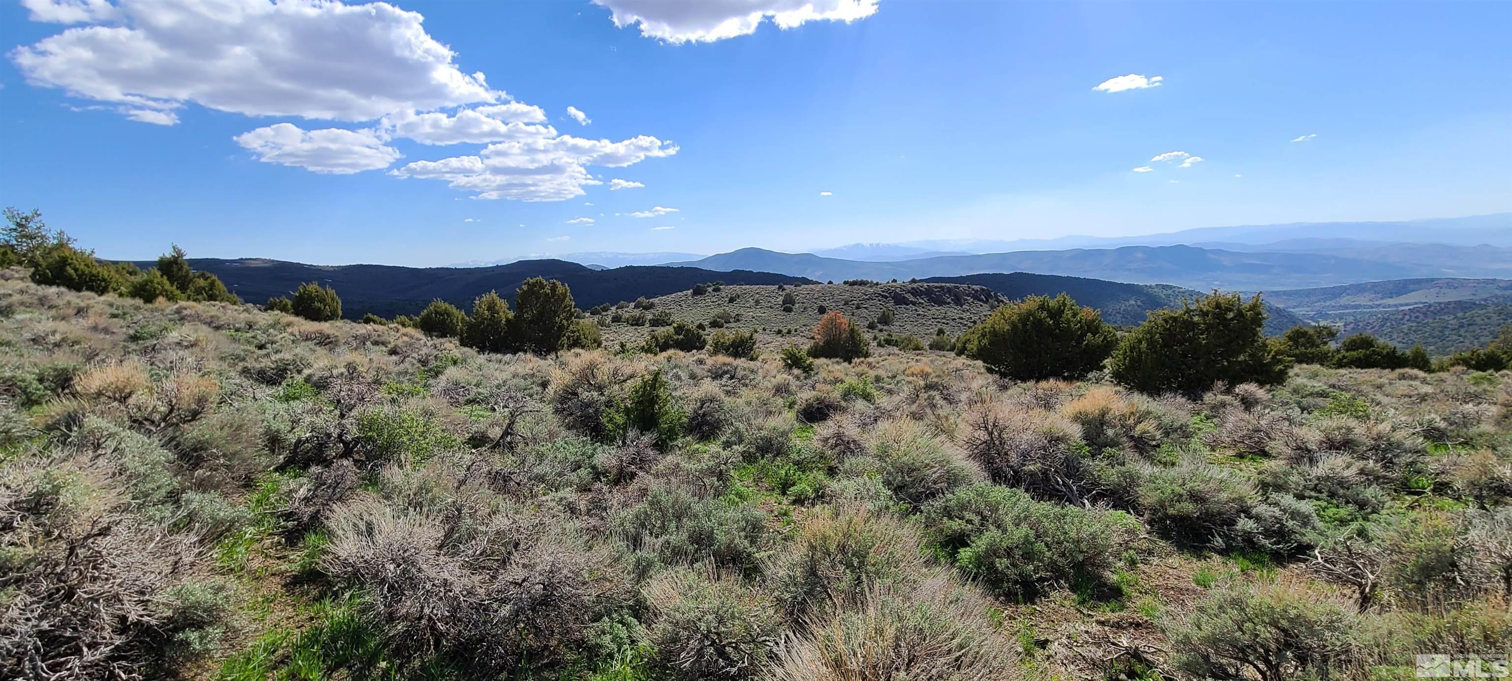 0 Left Hand Canyon Road Reno, NV 89510 - Photo 8 of 16 a view of a mountain