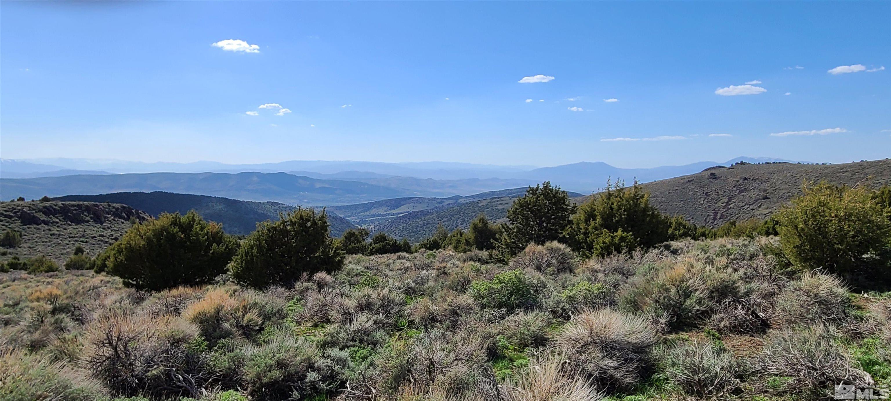 0 Left Hand Canyon Road Reno, NV 89510 - Photo 10 of 16 a view of a bunch of trees in a field