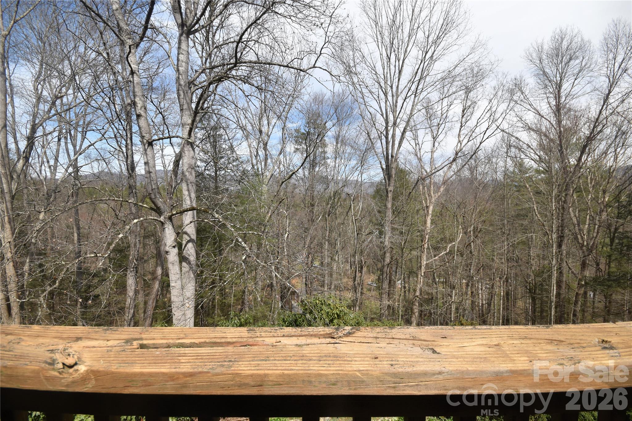 85 Homish Garden Waynesville, NC 28785 - Photo 21 of 32 a view of a yard covered with snow