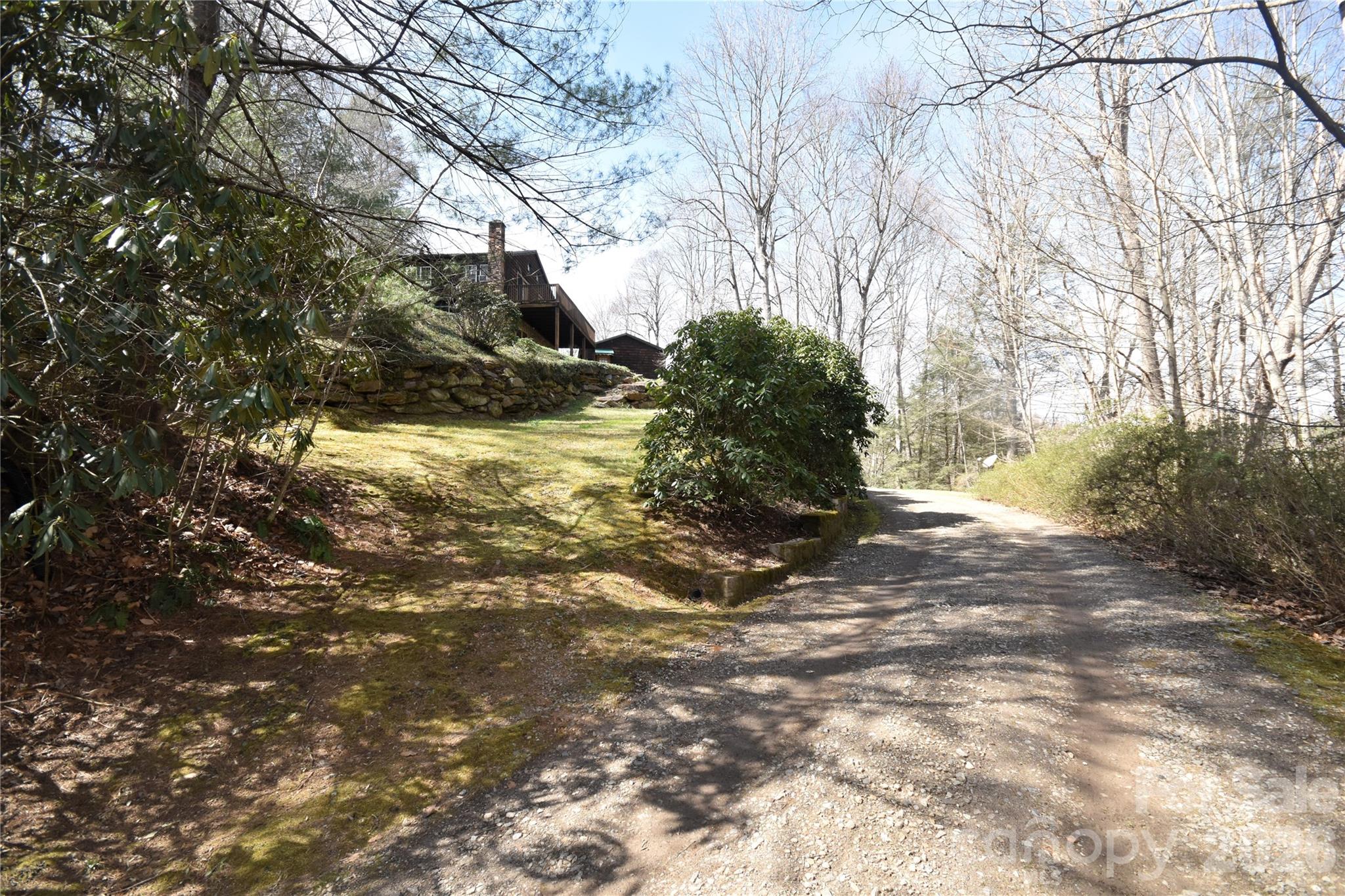 85 Homish Garden Waynesville, NC 28785 - Photo 32 of 32 a view of a yard with plants and trees