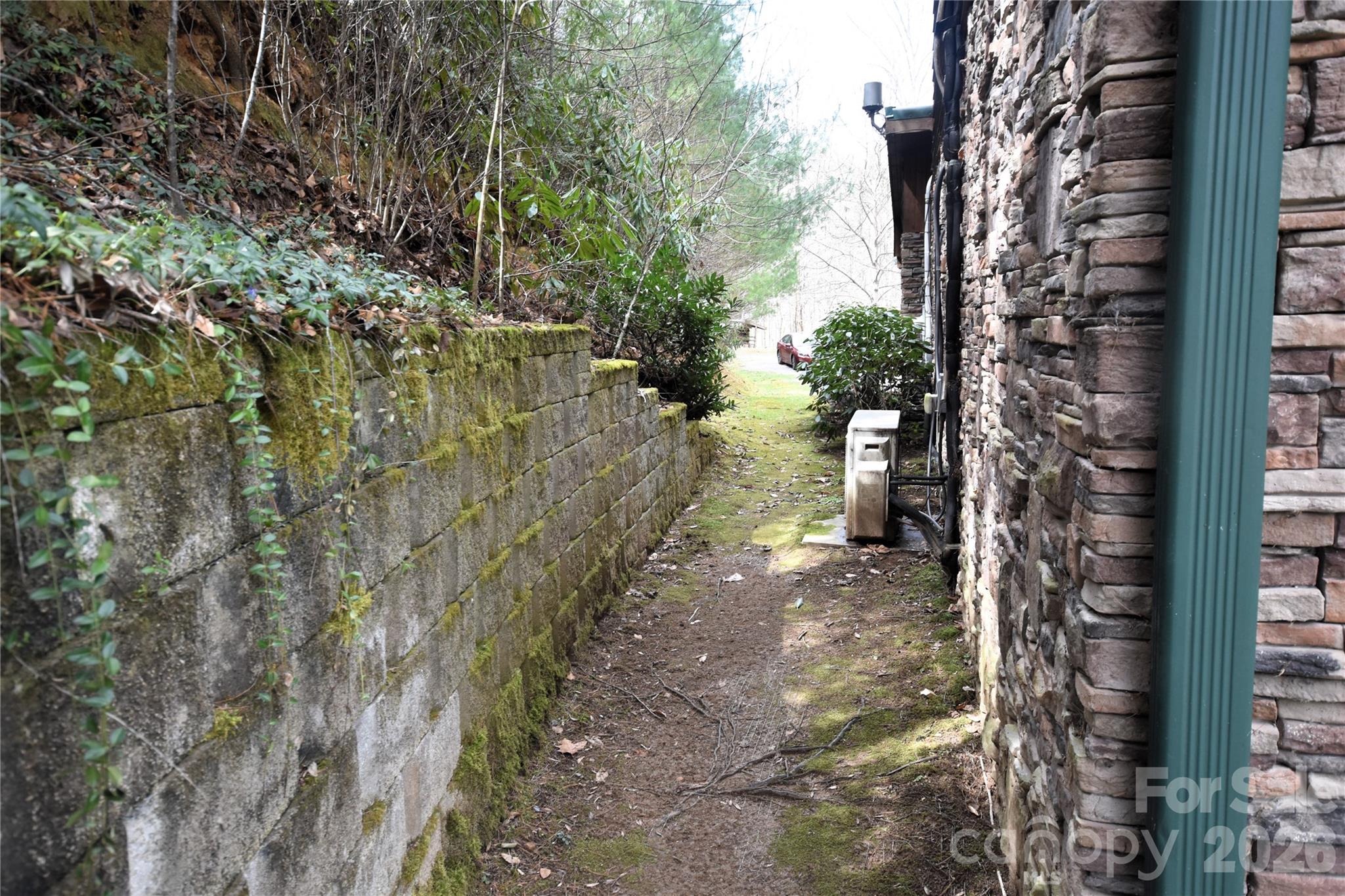 85 Homish Garden Waynesville, NC 28785 - Photo 5 of 32 a view of a yard with plants and trees